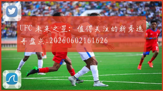 UFC 未来之星:值得关注的新秀选手盘点_20260602161626