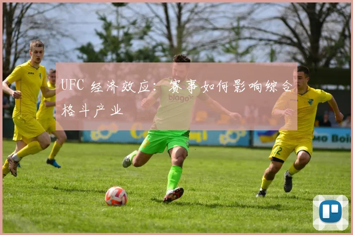 UFC 经济效应:赛事如何影响综合格斗产业