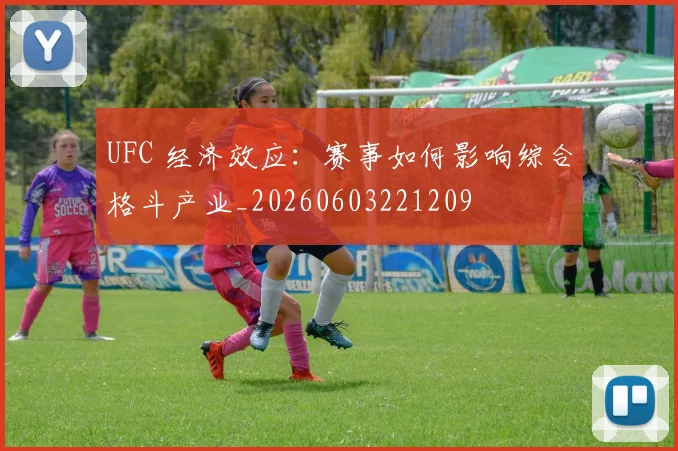 UFC 经济效应：赛事如何影响综合格斗产业_20260603221209